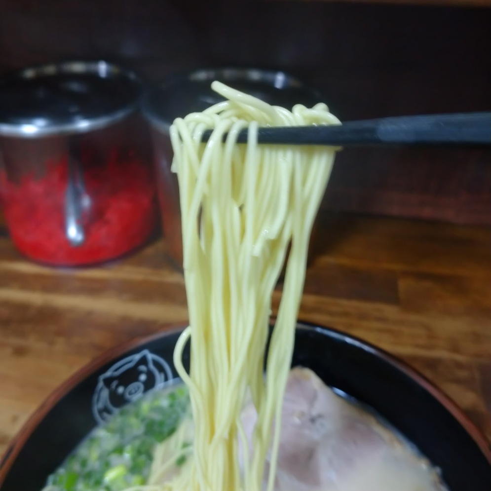 ストレート麺