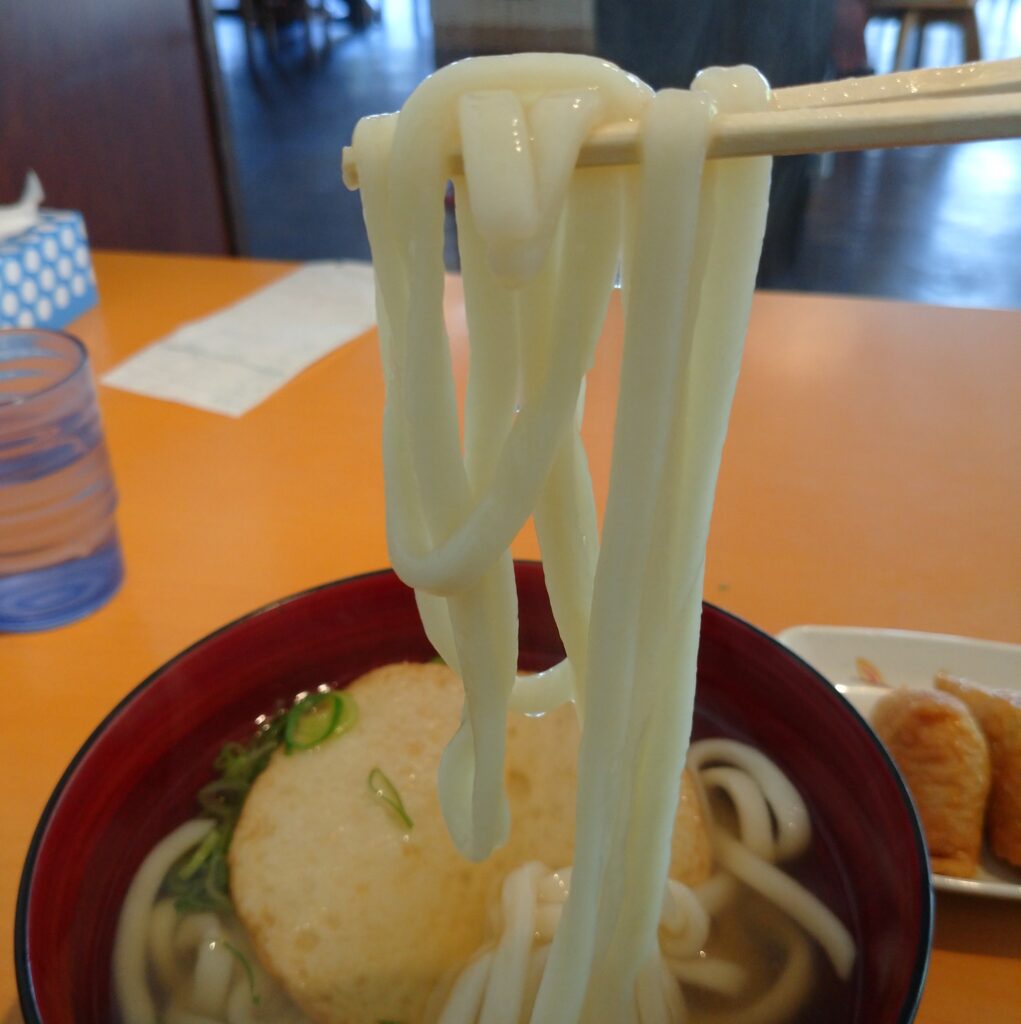 ふっくら麺を持ち上げている