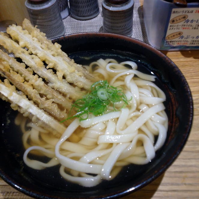 ごぼう天うどん